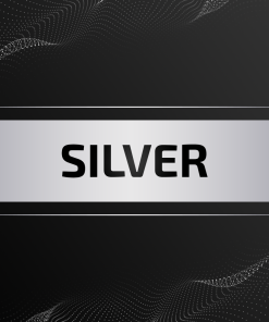 Online Marketing: Silver